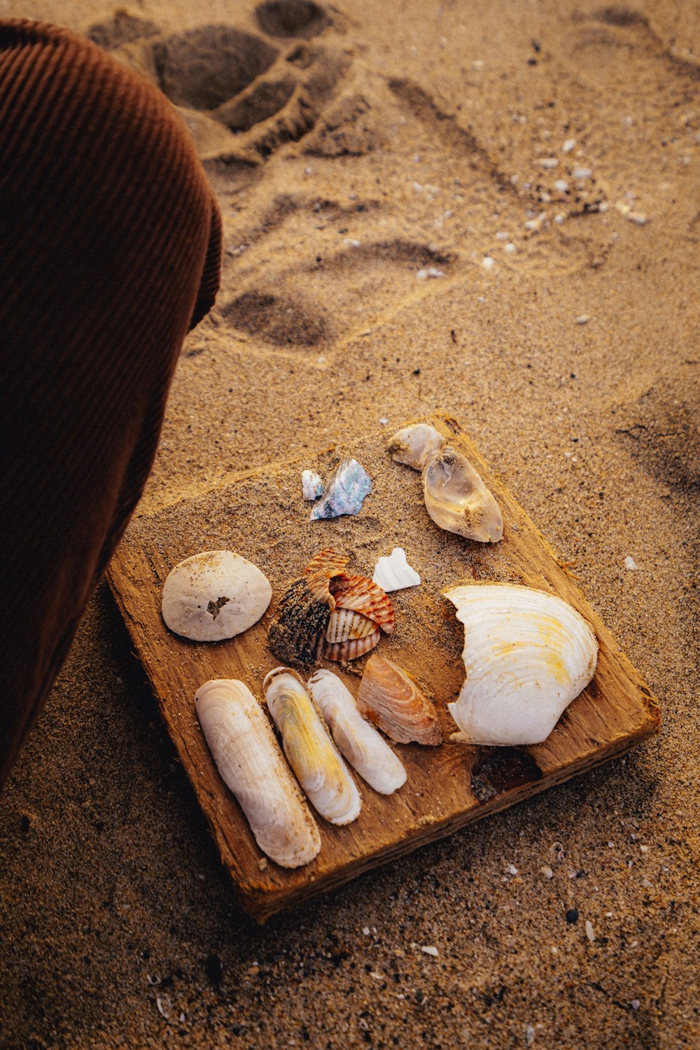 a person standing next to a wooden board with shells on it