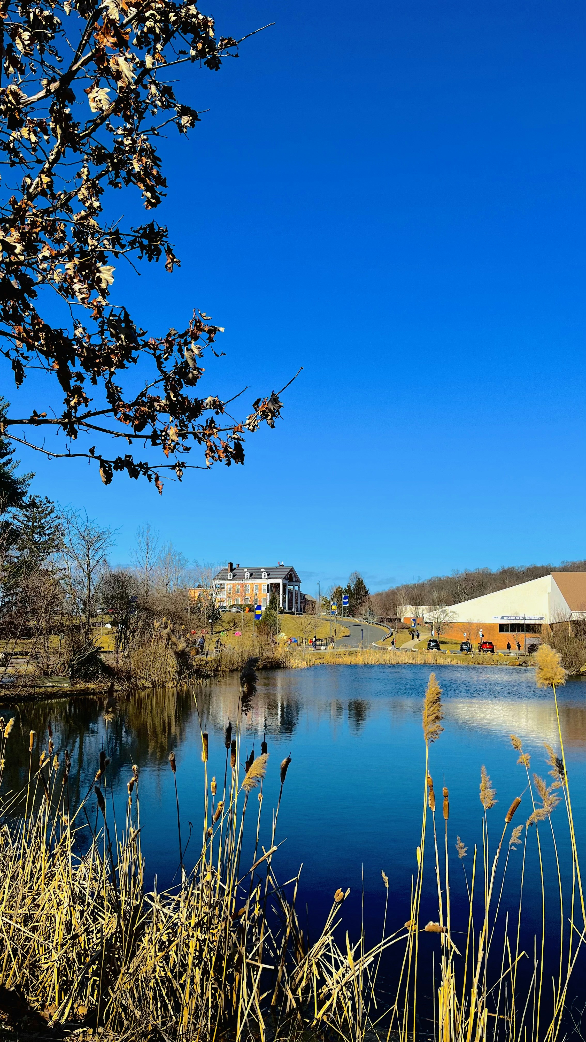 Photo by kellypatel612