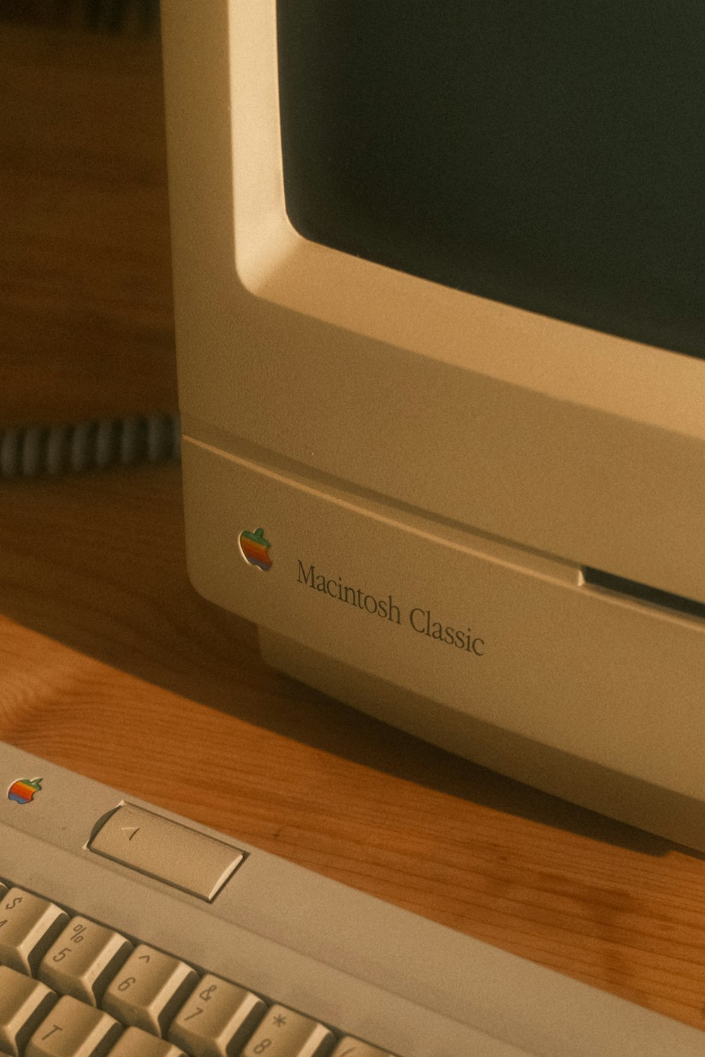 a close up of a keyboard and a computer monitor