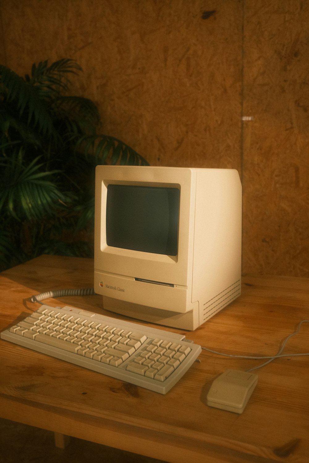 a desktop computer sitting on top of a wooden desk