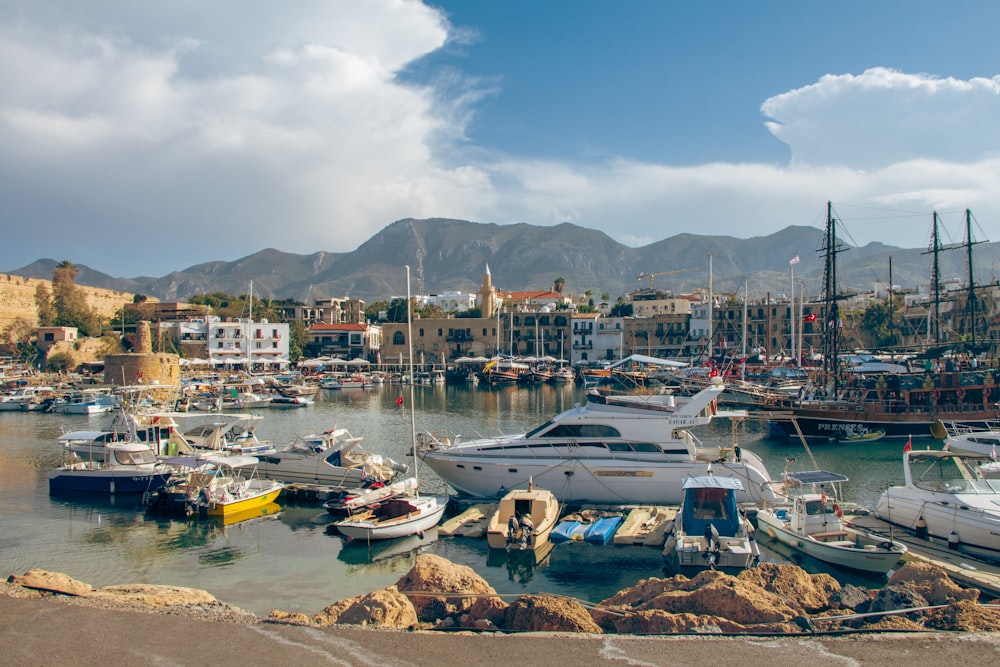 a harbor filled with lots of boats next to a mountain