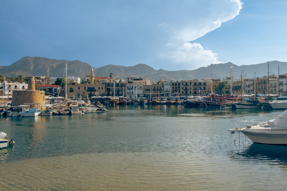 a harbor filled with lots of boats on top of a body of water