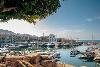 a harbor filled with lots of boats on top of a body of water