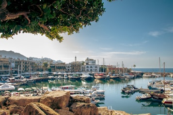 A picturesque harbor filled with numerous boats near a waterfront lined with historic-looking buildings. The scene includes clear blue skies and mountains in the background, with a tree canopy partially visible above. The water reflects the vibrant colors of the boats and buildings, creating a serene and inviting atmosphere.