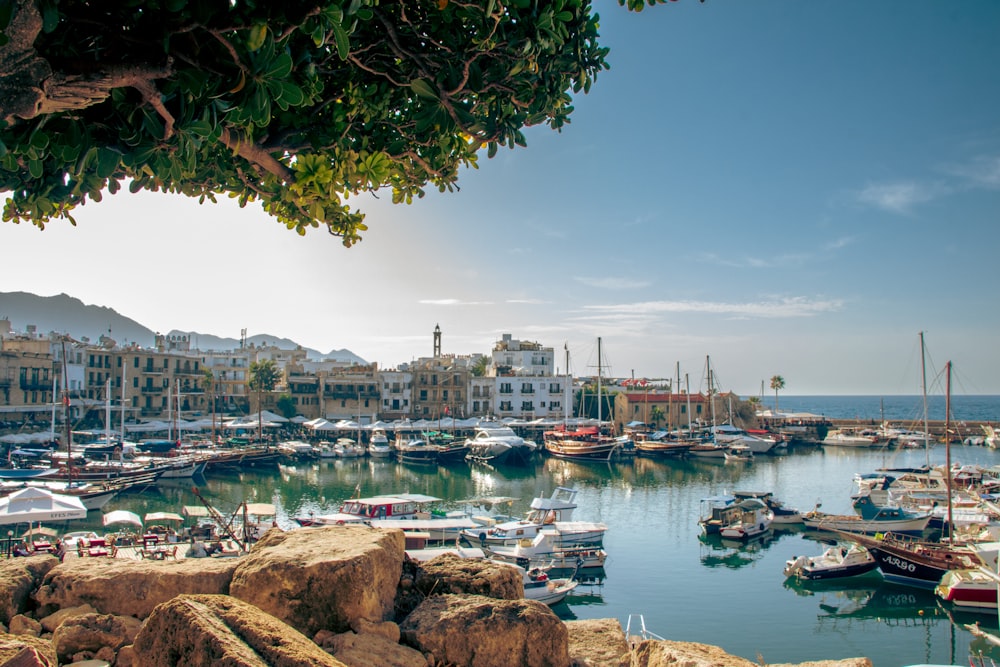 a harbor filled with lots of boats on top of a body of water