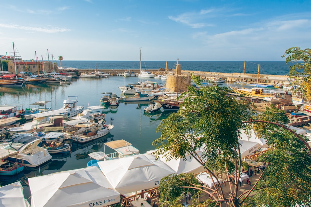 a harbor filled with lots of boats on top of water