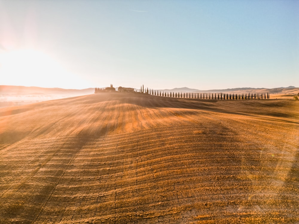 a farm field with a tractor in the distance