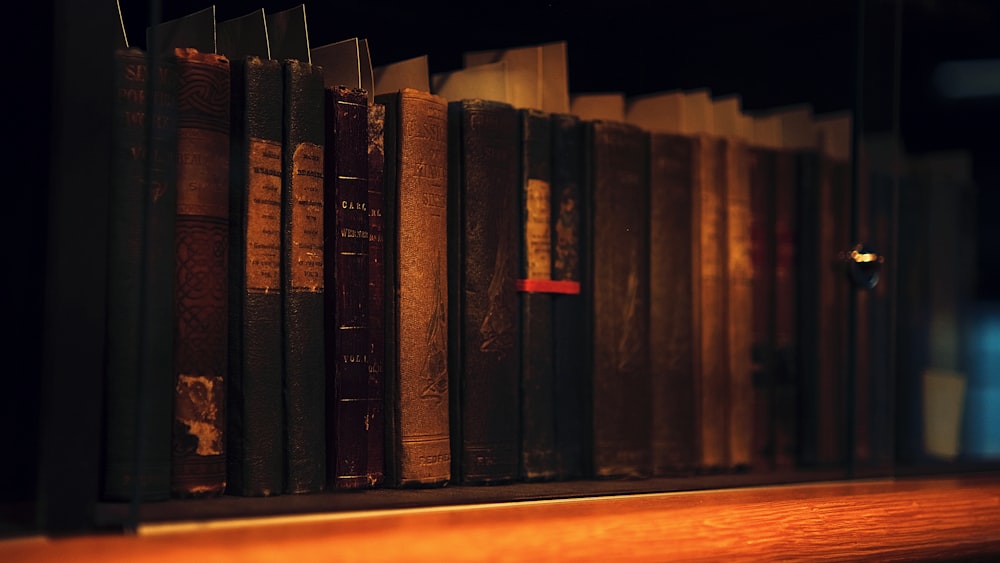 a row of books sitting on top of a wooden shelf