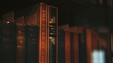a row of books sitting on top of a shelf