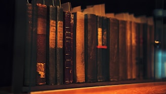 a row of books sitting on top of a wooden shelf