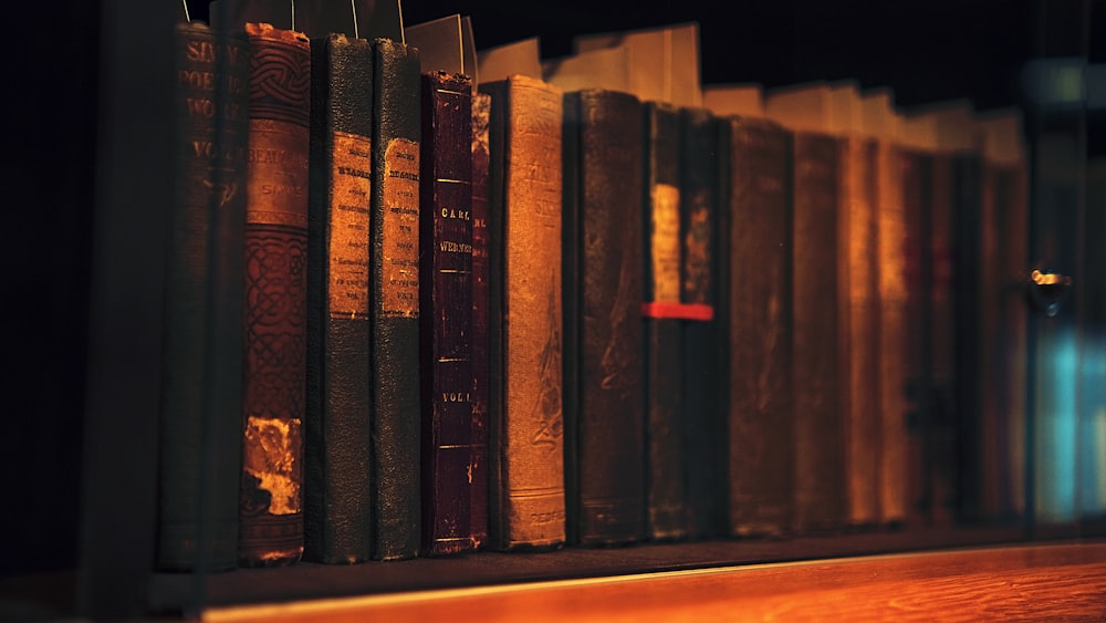 a row of books sitting on top of a wooden shelf