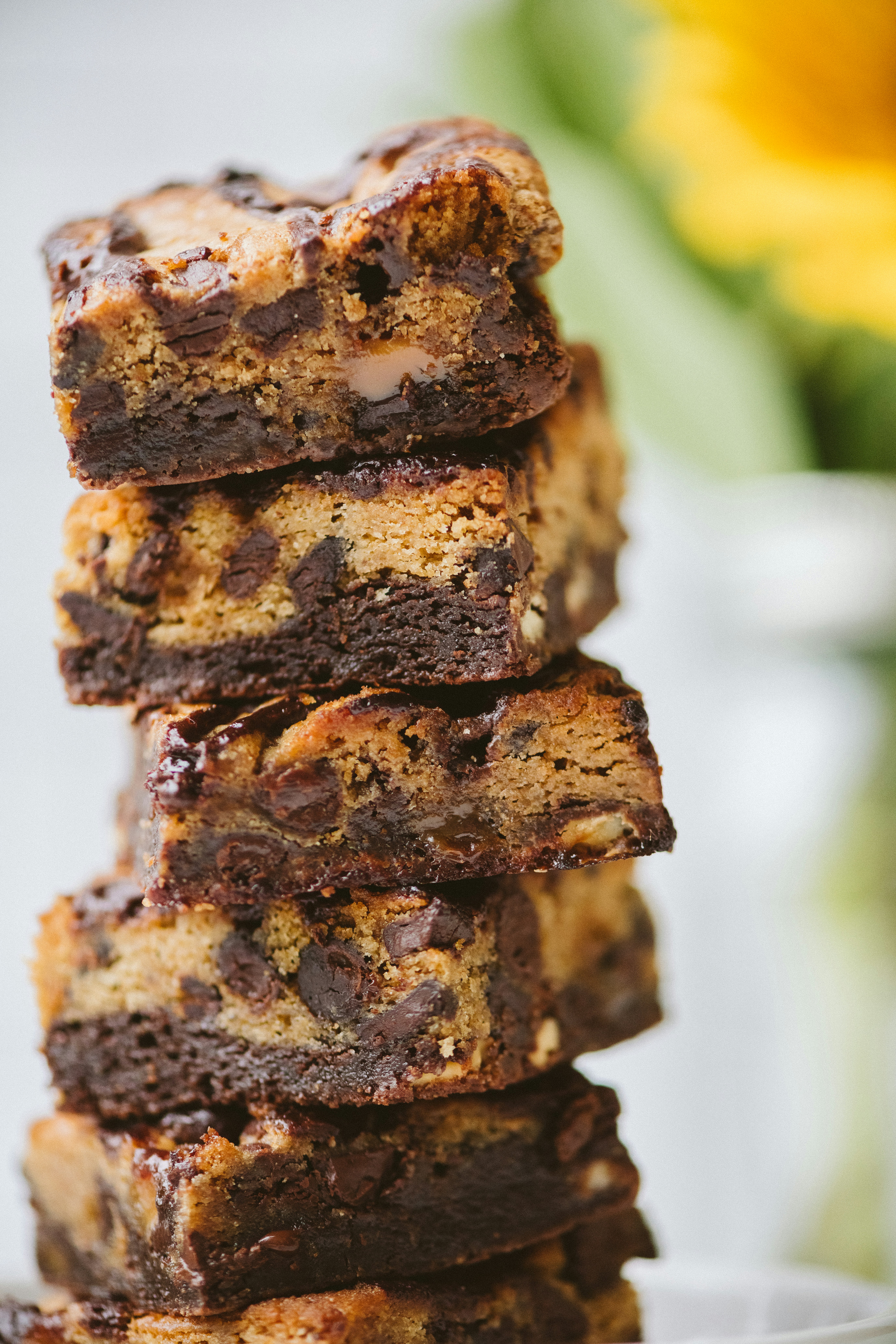 Fudge vs Brownie Decadent Desserts Defined Her World Chronicles