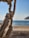 Thick braided ropes with visible knots are showcased in focus, against a blurry background of a beach and a blue sky. The ropes have a coarse texture and are hanging in a relaxed manner.