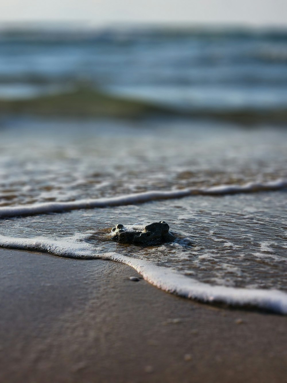 a close up of a small object in the sand