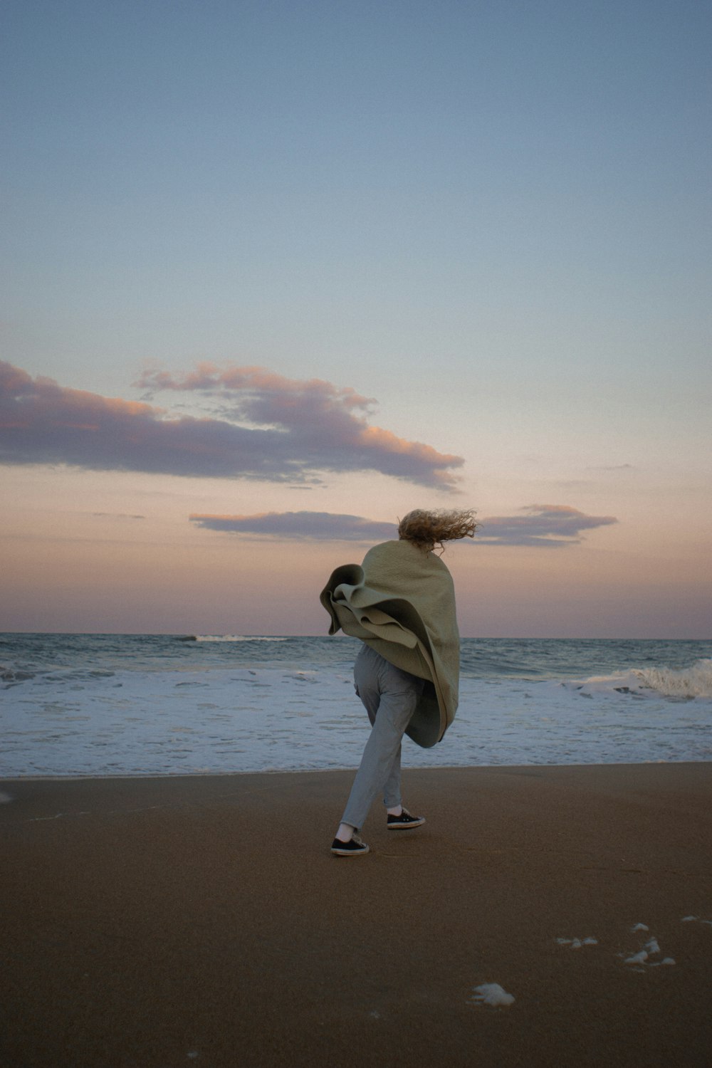 a person walking on a beach with a dog