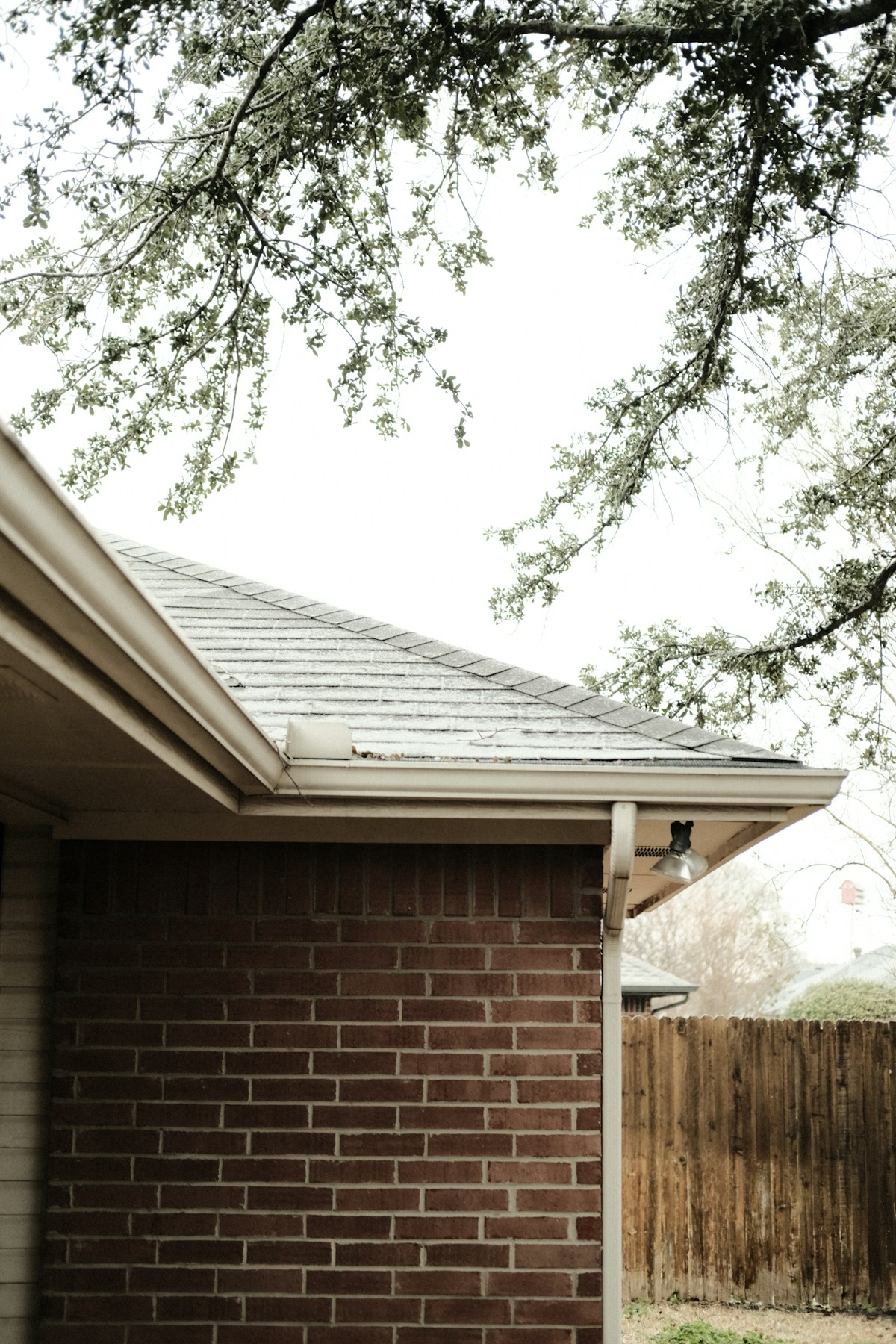 Fascia and Soffit Cleaning image background image