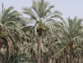 Photo 1677031520897 1d47242b1dbb?q=85&w=273&h=462&fit=crop