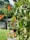 A vibrant garden filled with butterflies and birds.