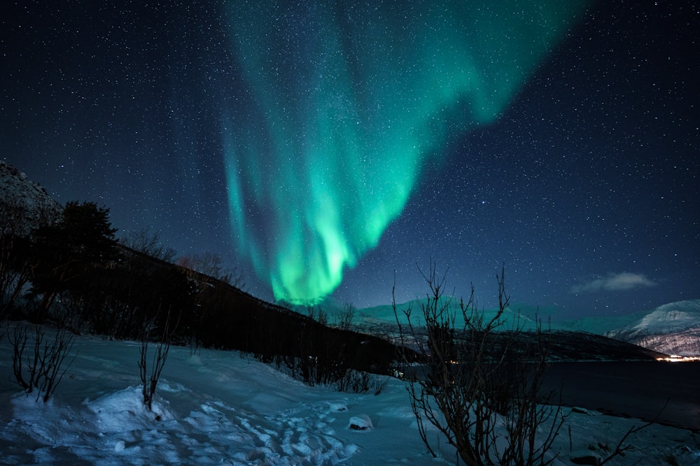 a bright green aurora bore is in the sky