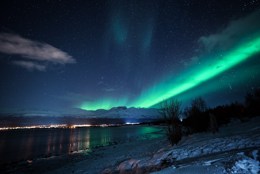 a green and blue aurora bore over a body of water