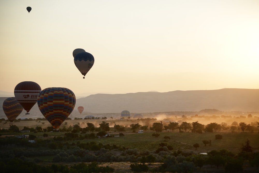 a group of hot air balloons flying over a field