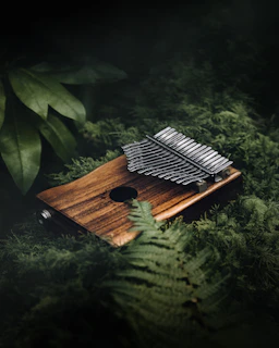 Traditional Amazonian instruments displayed elegantly with natural green and gold tones