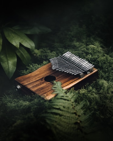 A wooden kalimba rests on a bed of lush green ferns and leafy plants, with the metallic tines reflecting soft light. The setting creates a harmonious blend of natural elements and musical artistry.