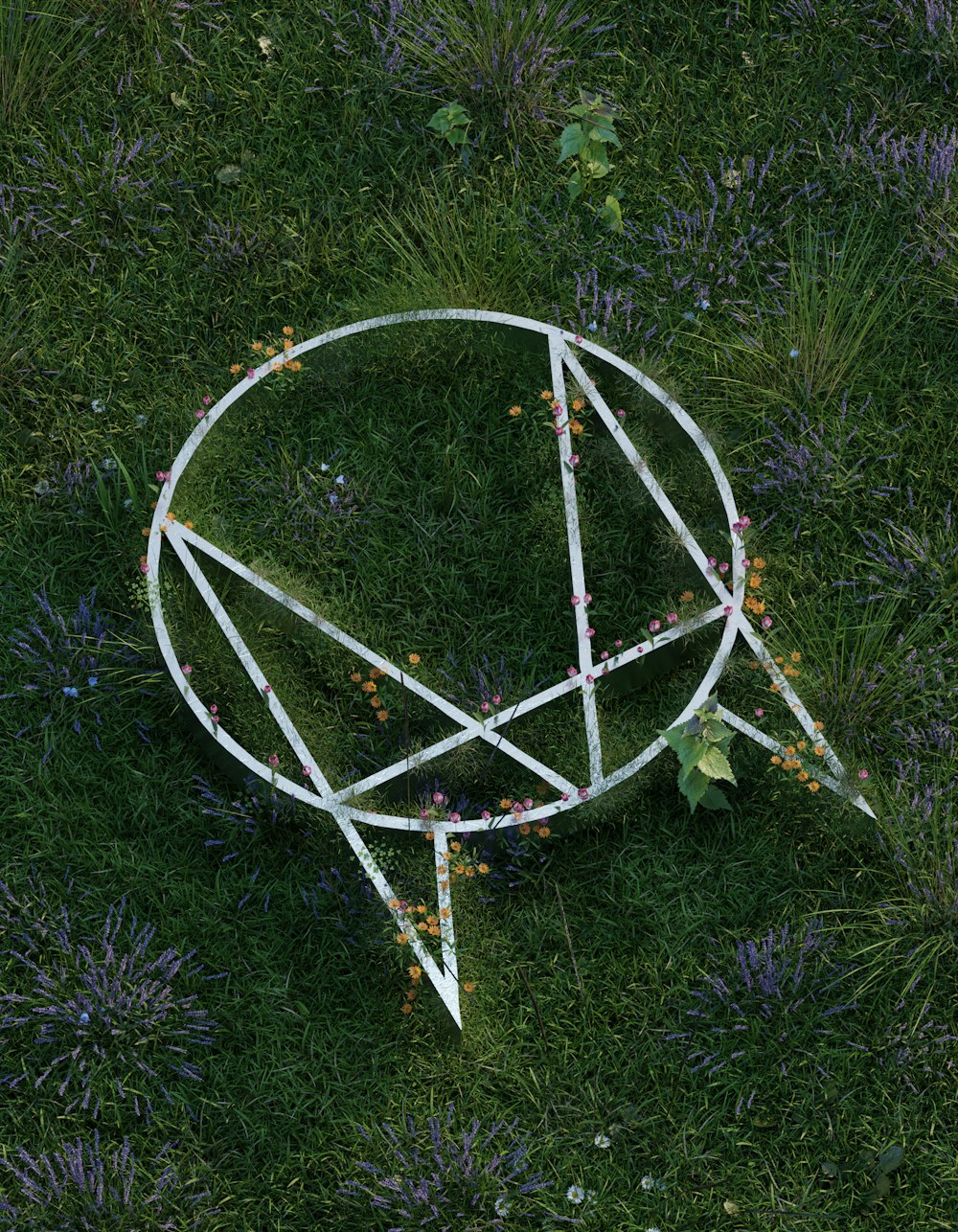 a circular object sitting on top of a lush green field