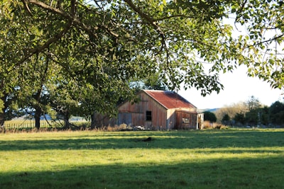 A rustic barndominium with timber frame accents nestled in a rural setting.