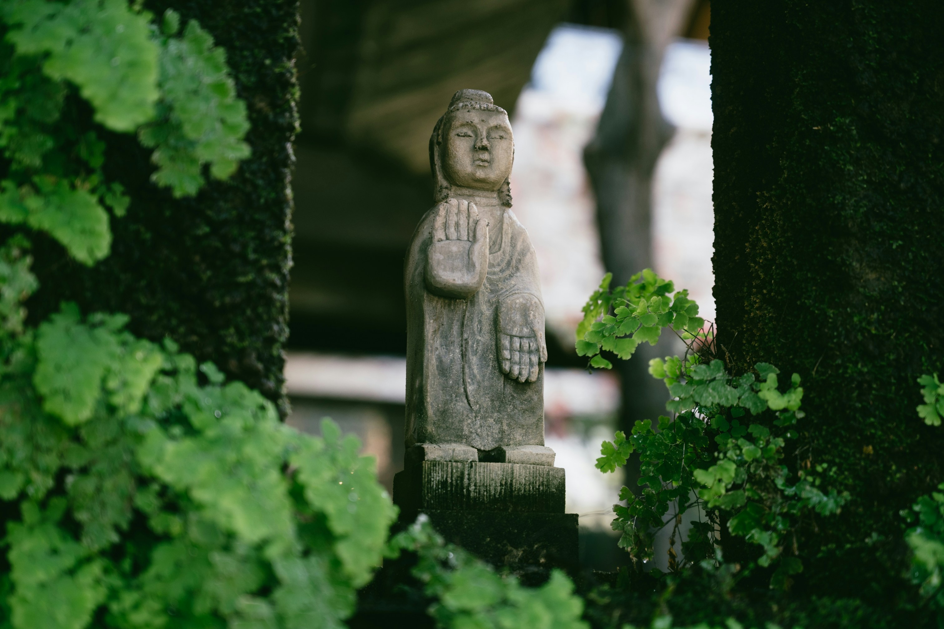 Une statue d’un Bouddha dans un jardin