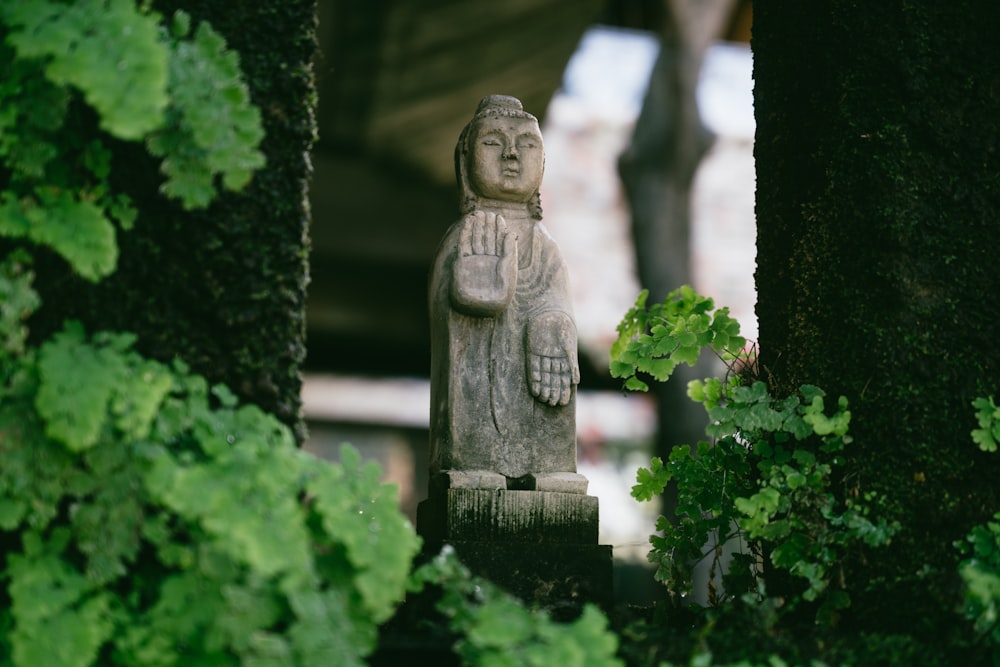 Une statue d’un Bouddha dans un jardin