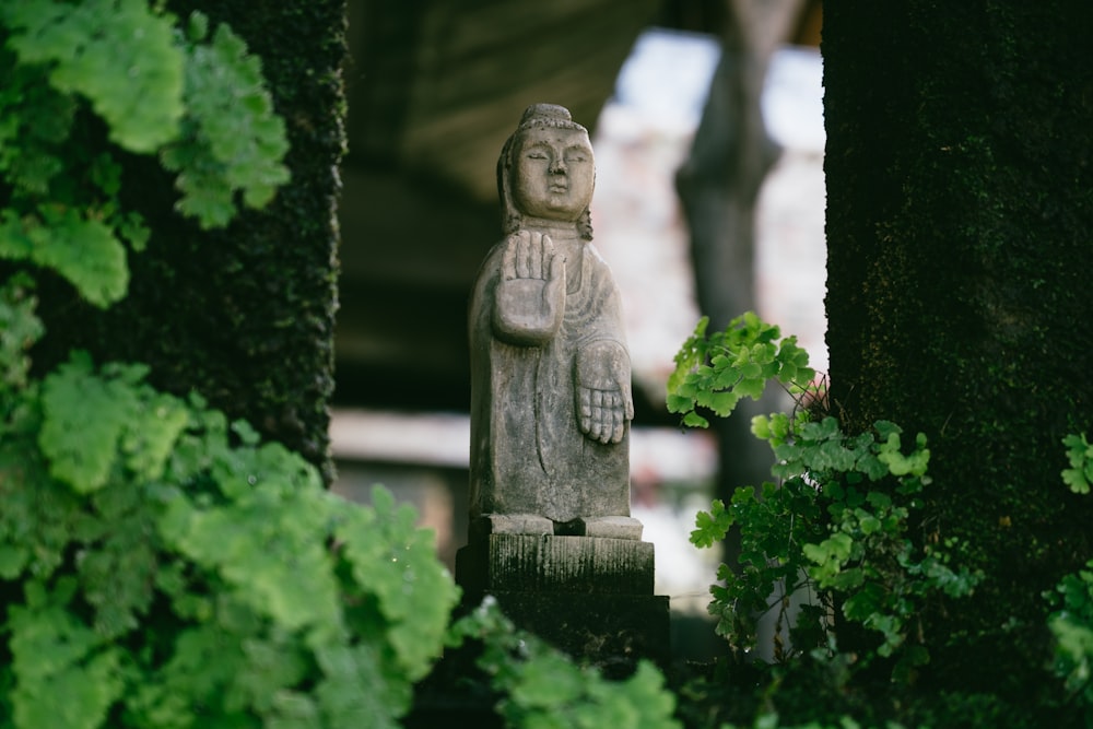 a statue of a buddha in a garden