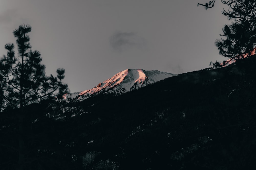 a snow covered mountain with trees in the foreground