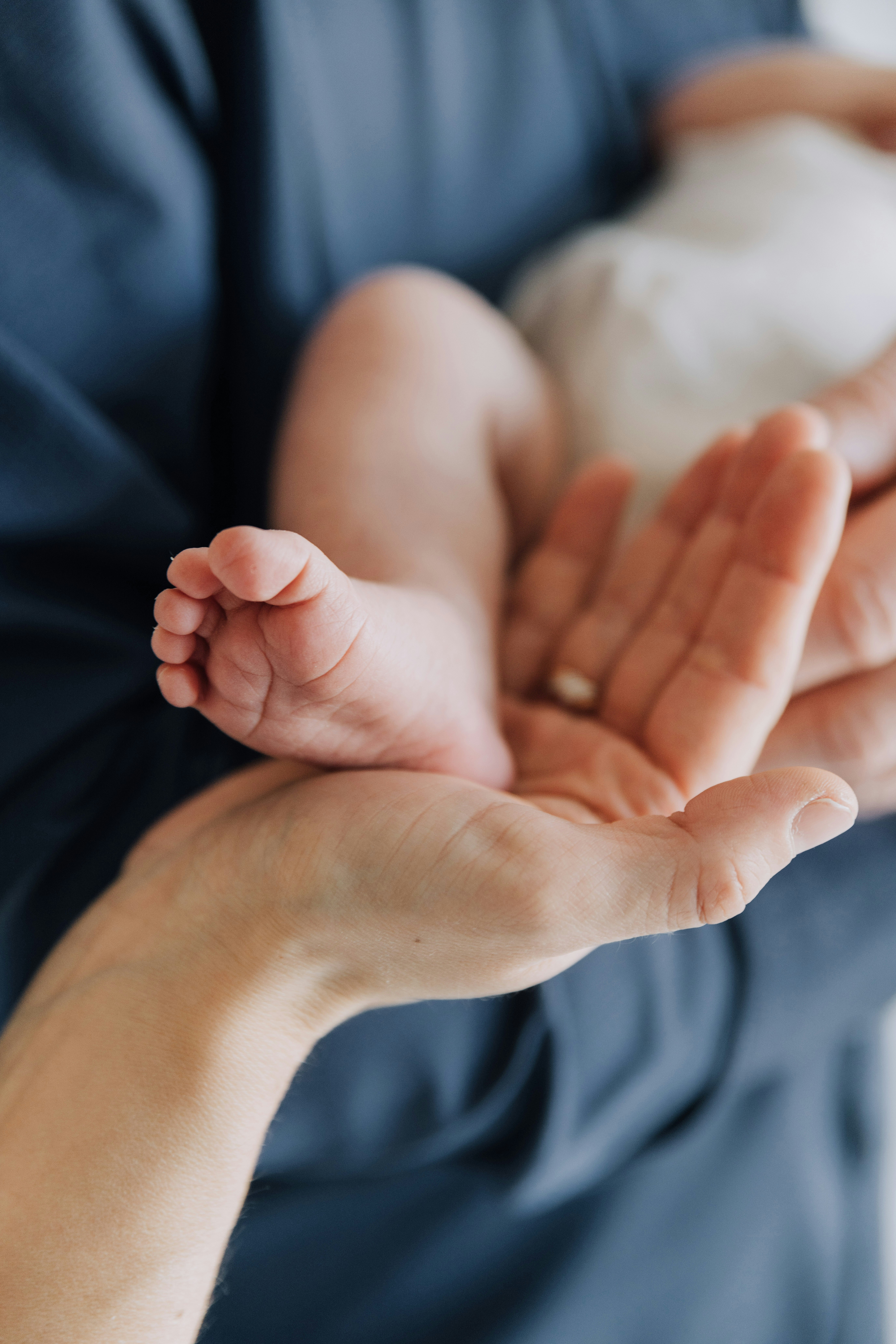 Photo by anitaaustvika