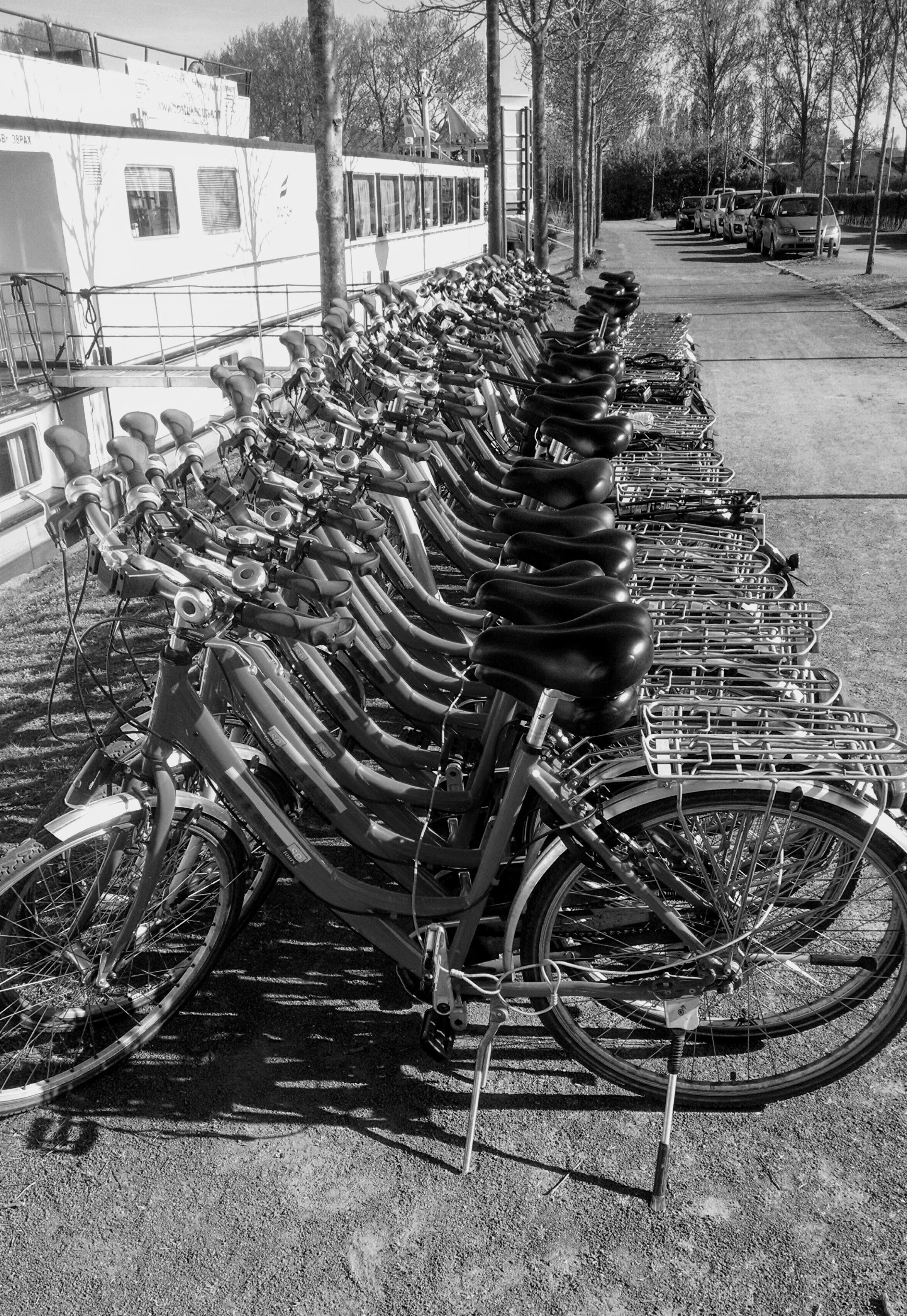 Photo by lonestarlola