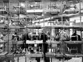 Various types of sewing machines displayed neatly in an online store setting.