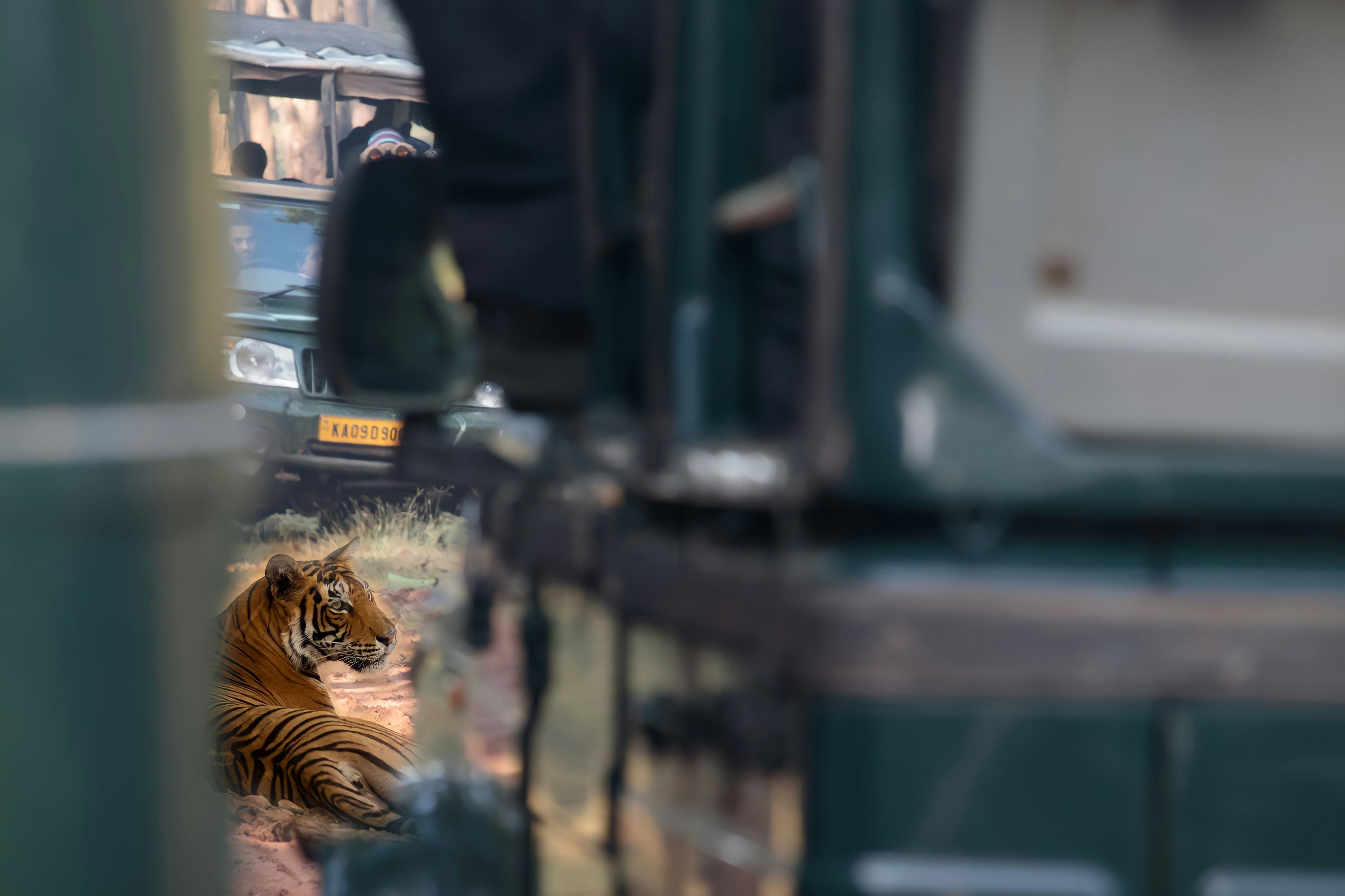 Jim Corbett National Park safari with families spotting wildlife including tigers and elephants in natural habitat