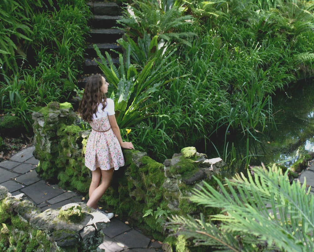 Foto Un jardín con rocas y plantas y un estanque – Imagen Naturaleza gratis  en Unsplash