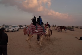 A group of people riding camels in a sandy desert area, with vehicles parked in the background. The camels are adorned with colorful saddle covers. A few more animals, including a horse, are visible in the distance. The sky is partly cloudy, giving a late afternoon or early evening ambiance.