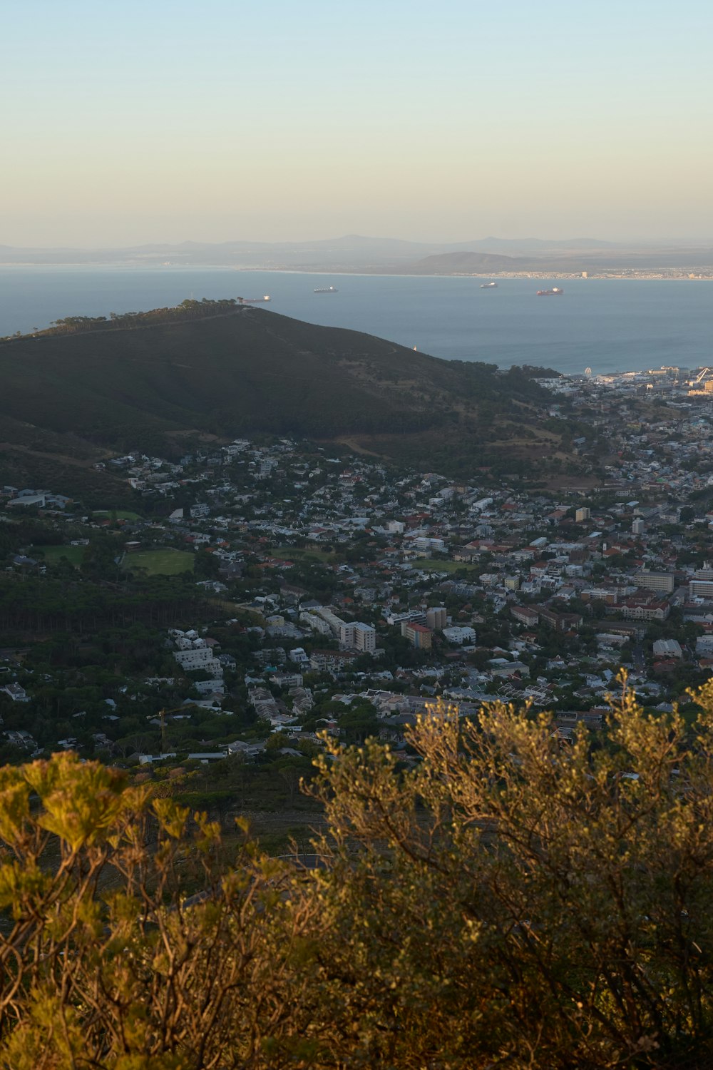 a view of a city and a body of water