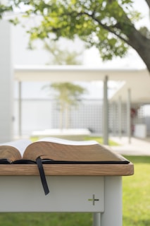 A book is open on a wooden table outdoors, with lush green grass and trees in the background. The sun shines brightly, casting a soft glow and creating a serene atmosphere.