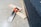 On a speckled concrete floor, a handsaw with an orange and black handle is placed on three pieces of light-colored wooden plank alongside a black carpeted edge.