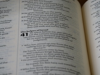 An open book displaying text with bold headings and numbered sections. The highlighted section is chapter 41 titled 'The helper of Israel', and a verse talks about renewing strength and soaring on wings.