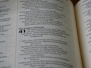 An open book displaying text with bold headings and numbered sections. The highlighted section is chapter 41 titled 'The helper of Israel', and a verse talks about renewing strength and soaring on wings.