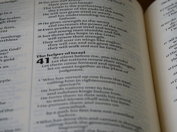 An open book displaying text with bold headings and numbered sections. The highlighted section is chapter 41 titled 'The helper of Israel', and a verse talks about renewing strength and soaring on wings.