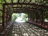 A freshly built wooden pergola with climbing plants casting dappled shade over a cozy outdoor seating area.