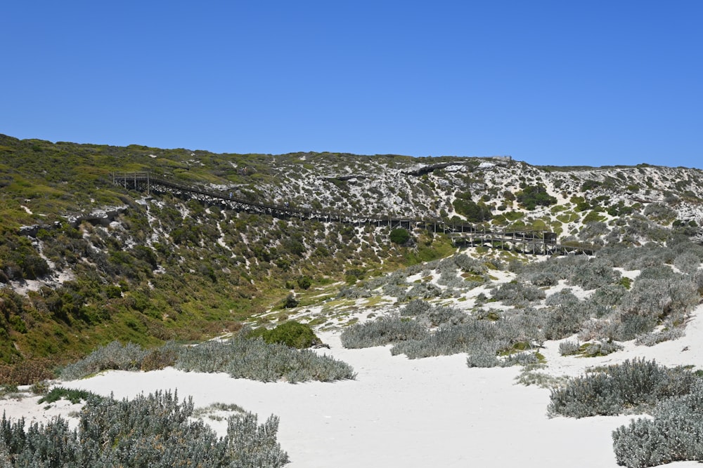 a hill covered in white sand and bushes