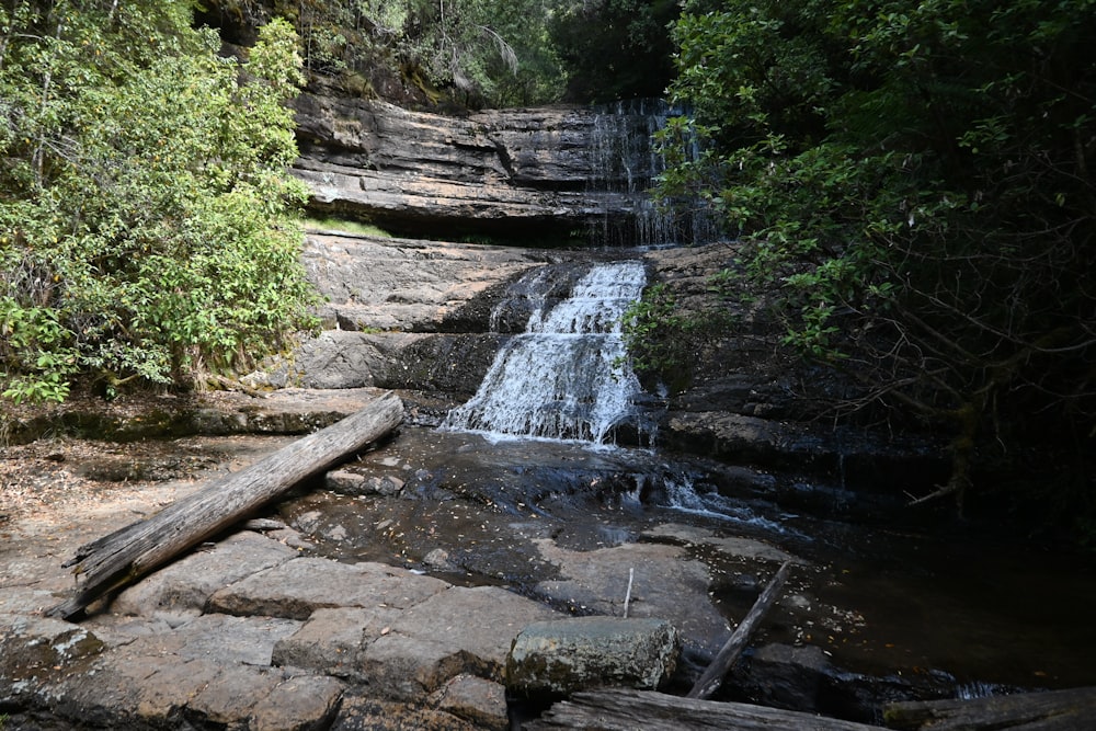 a small waterfall in the middle of a forest