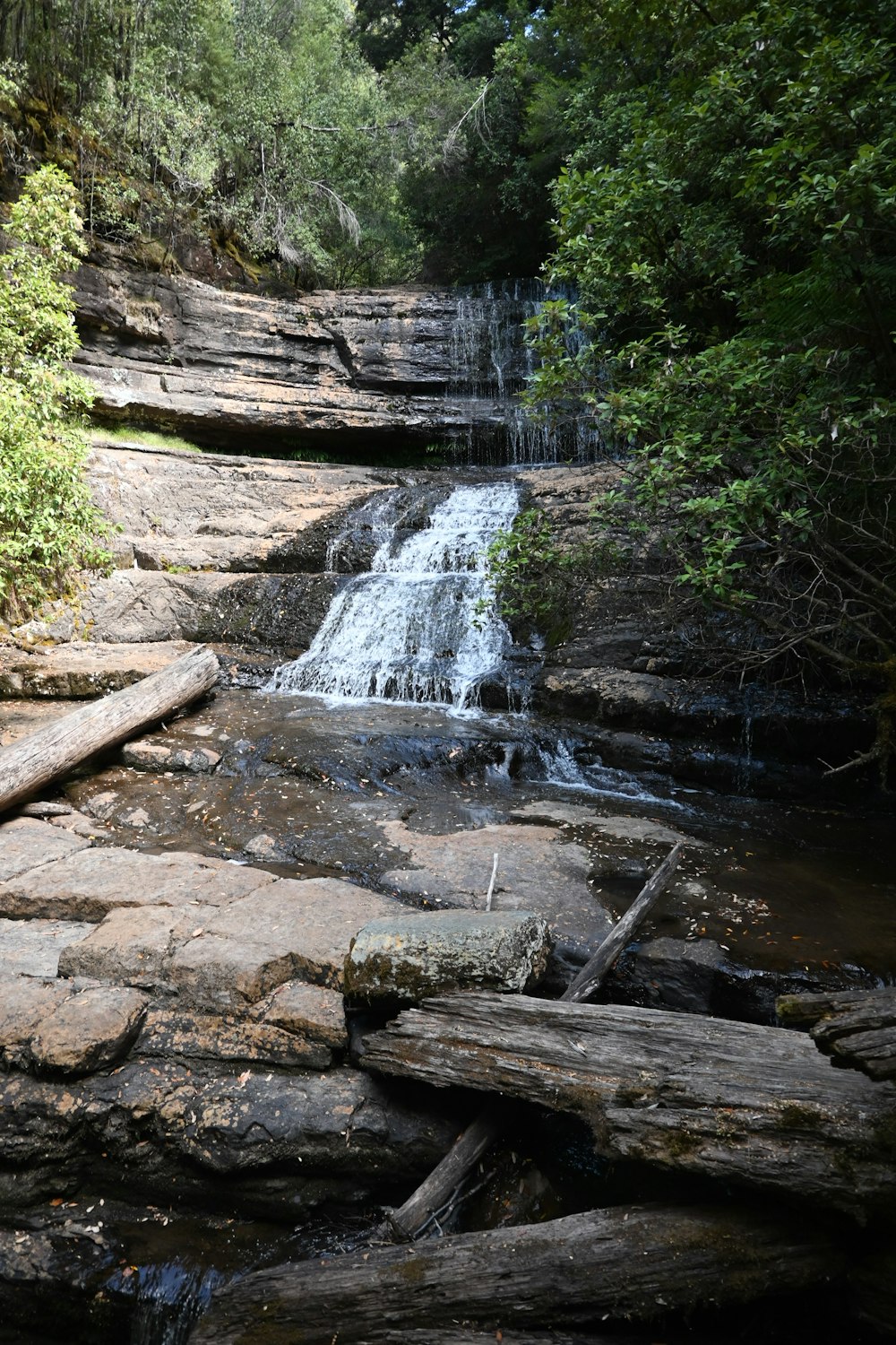 Une petite cascade au milieu d’une forêt