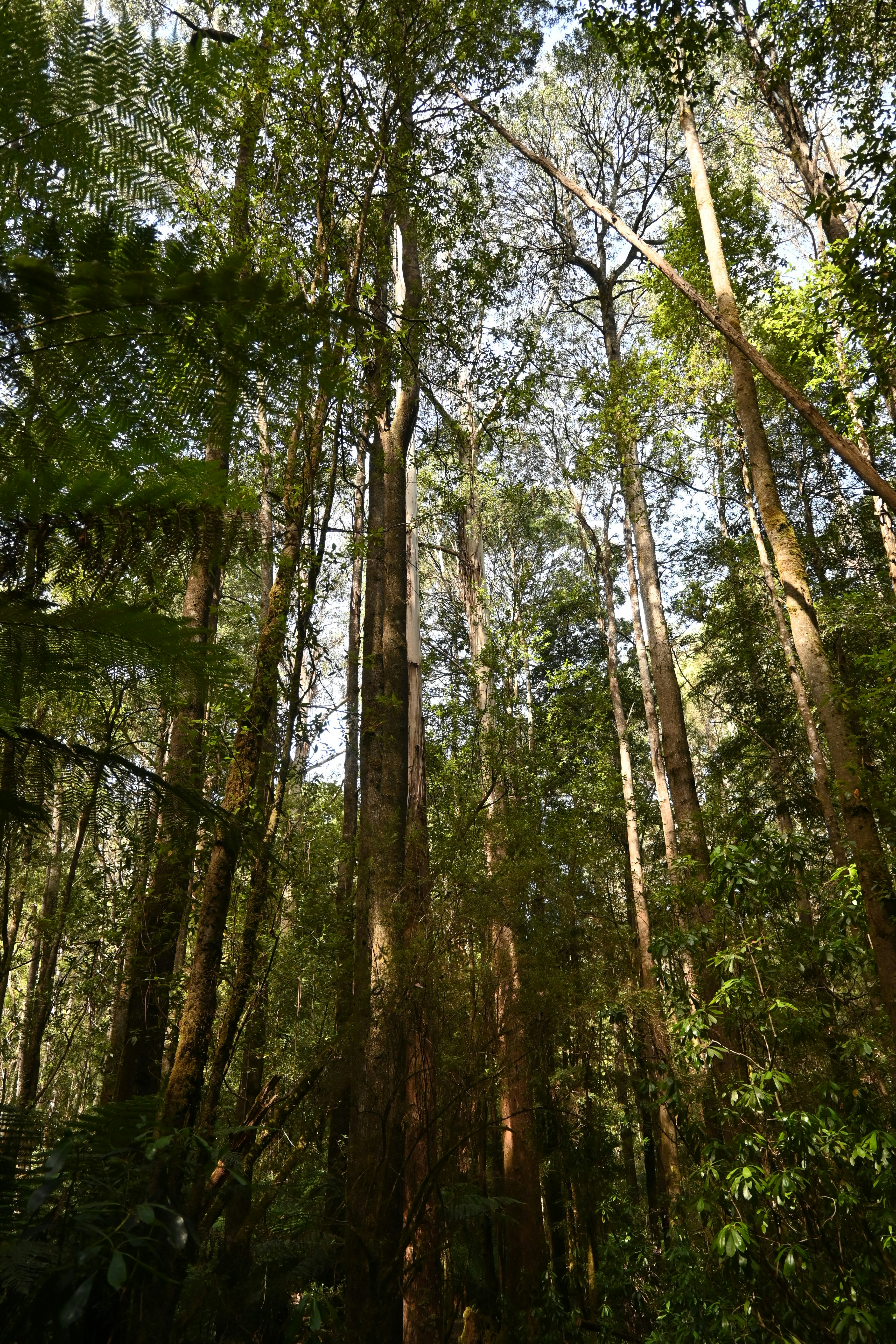 Photo by avignakaran